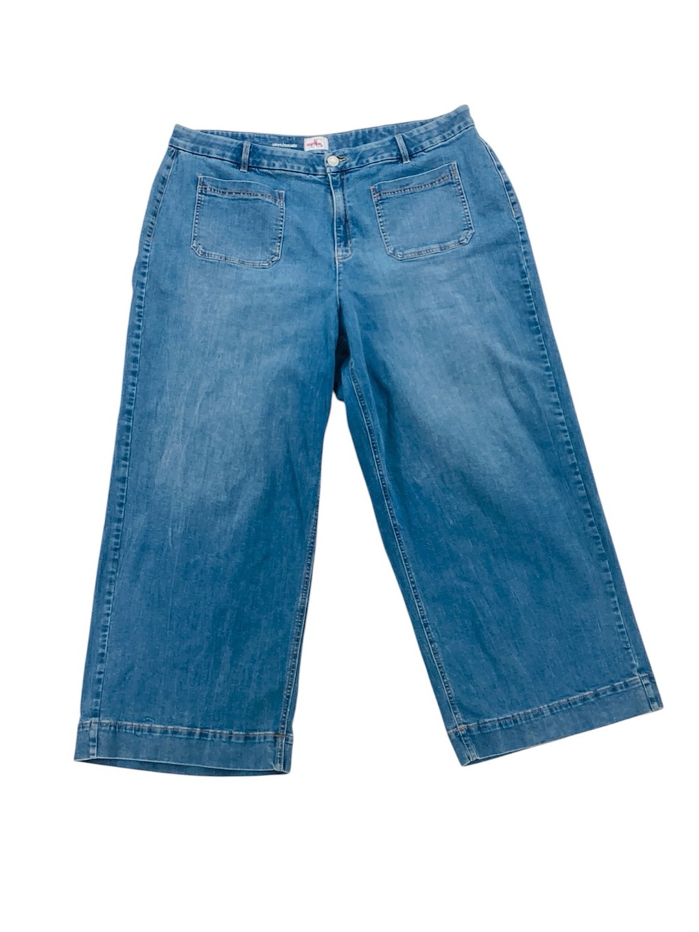 🐵 DC Wide-Leg Curvy Jeans, Size 24